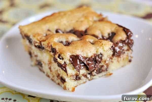 A beautifully presented piece of fluffy chocolate chip cake on a white plate, ready to be enjoyed.