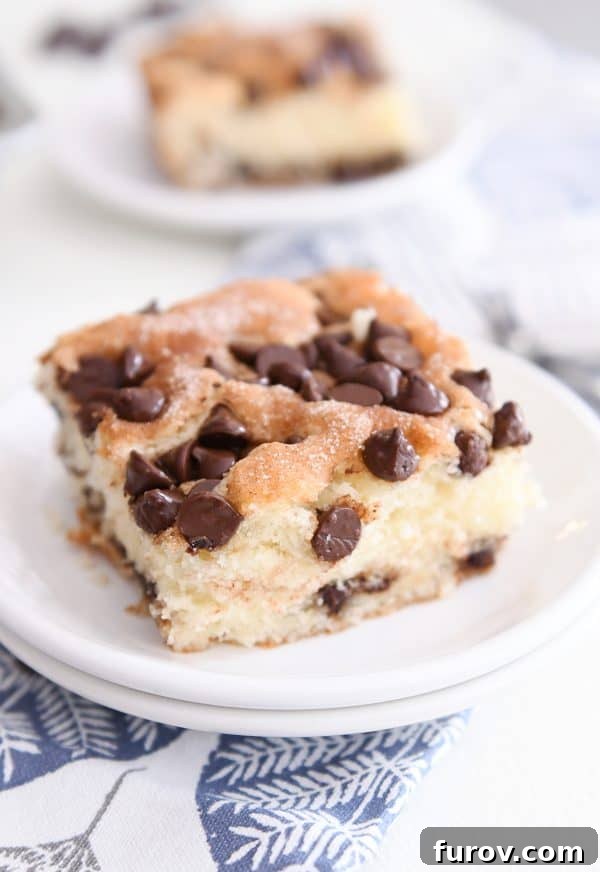 A pristine square slice of chocolate chip cake resting elegantly on a simple white plate.