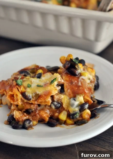 A close-up of a generous serving of cheesy black bean enchilada casserole on a white plate, highlighting its rich texture and melted cheese.