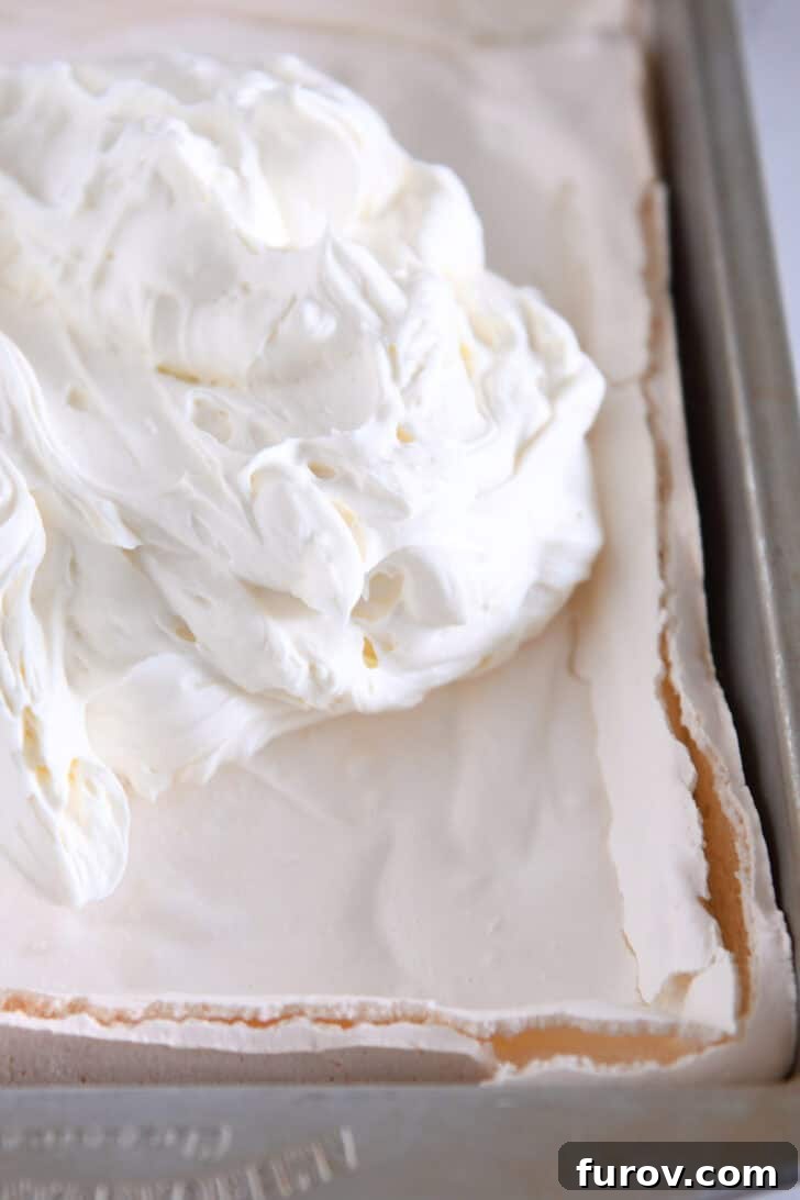 A baked meringue dessert in a metal pan with the creamy cheesecake mixture freshly spread over it, glistening and ready for its chilling period.