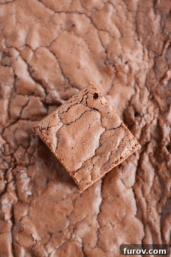 A perfectly cut brownie sits atop a pan filled with more delicious fudgy brownies, ready to be served.