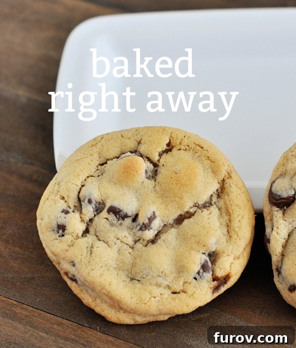The Cookie Dough Chill Factor 4 top view of a chocolate chip cookie with the text baked right away over the top of the cookie