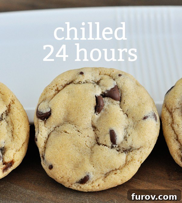 The Cookie Dough Chill Factor 5 top view of a chocolate chip cookie with the text chilled 24 hours over the top