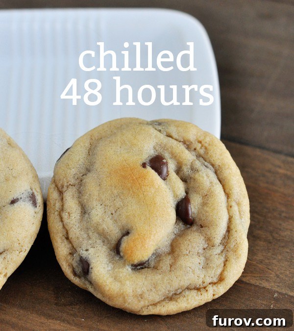 The Cookie Dough Chill Factor 6 top view of a chocolate chip cookie with the text chilled 48 hours over the top