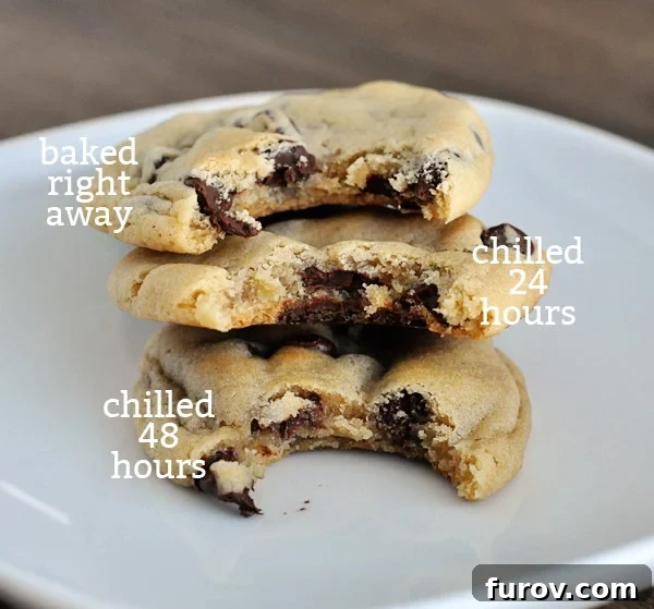 The Cookie Dough Chill Factor 7 three stacked chocolate chip cookies with bites taken out of each one