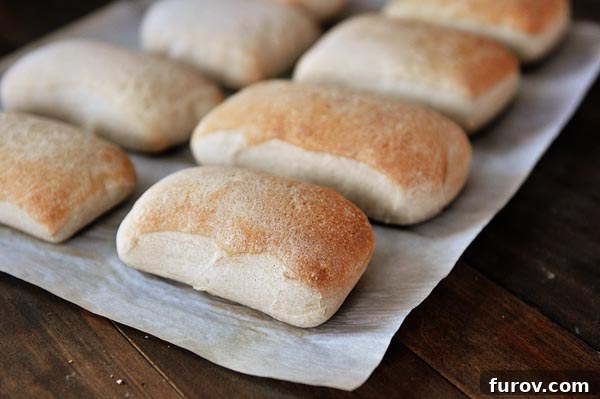 Mastering Chewy Italian Rolls 3 Light brown baked italian rolls lined up on a sheet of parchment paper.