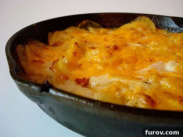 Blue and Gold Potato Gratin 3 Close-up of bubbling blue cheese and cheddar scalloped potatoes in a cast iron skillet, fresh from the oven.