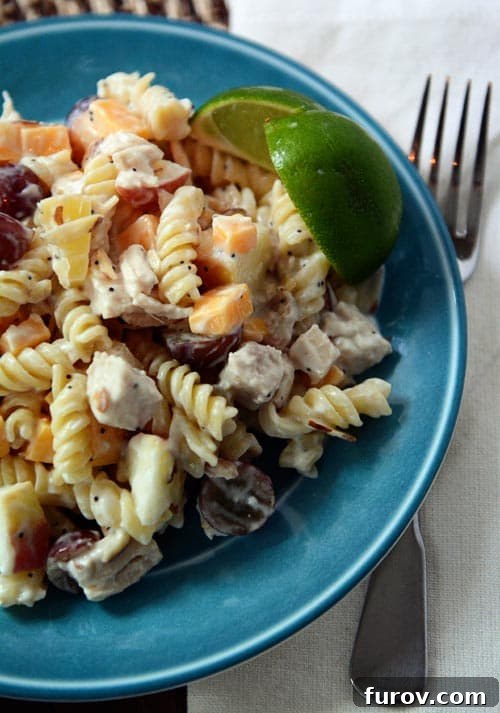 Velvet Honey-Lime Chicken Salad 2 Vibrant blue bowl overflowing with creamy chicken salad pasta, studded with golden cheese cubes and sliced red grapes, garnished with fresh lime wedges.