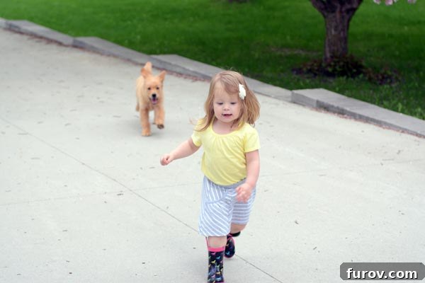 Saturday Survival: Mastering Summer Break 2 A cheerful little girl running with pure joy in front of a playful puppy in a sunny outdoor setting, embodying the spirit of summer fun.