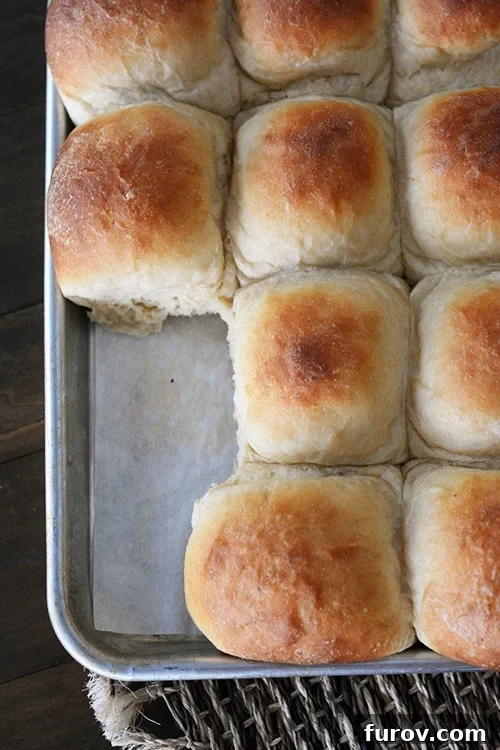 The Ultimate Cloud-Soft Buttermilk Potato Rolls 4 A close-up, top-down view of a baking sheet filled with perfectly golden-brown buttermilk potato rolls, with a few missing, hinting at their irresistible appeal.