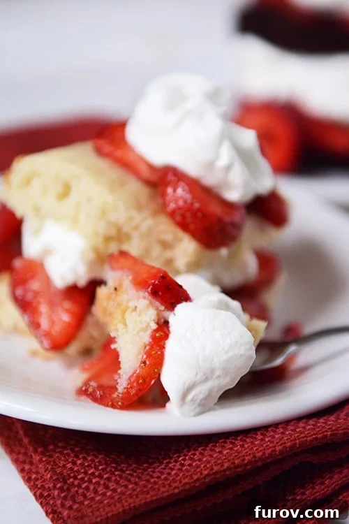 A fork taking a bite out of a layered classic strawberry shortcake on a white plate, showcasing the fluffy shortcake, juicy strawberries, and whipped cream.