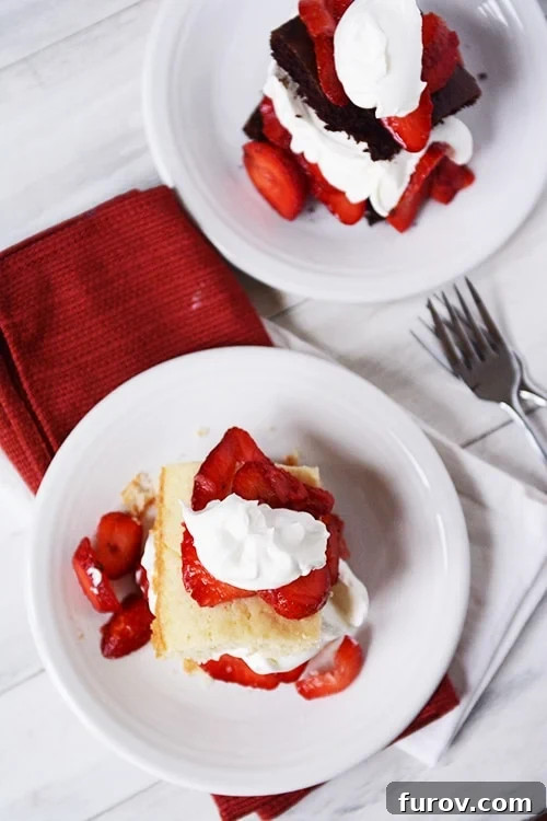 A top view of two white plates, one with classic strawberry shortcake and the other with chocolate strawberry shortcake, beautifully arranged for a tempting comparison.
