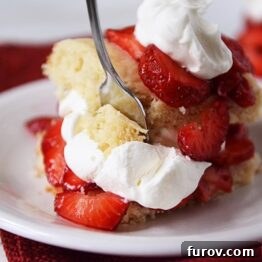 A top-down view of classic strawberry shortcake on a white plate, showcasing vibrant berries and whipped cream.