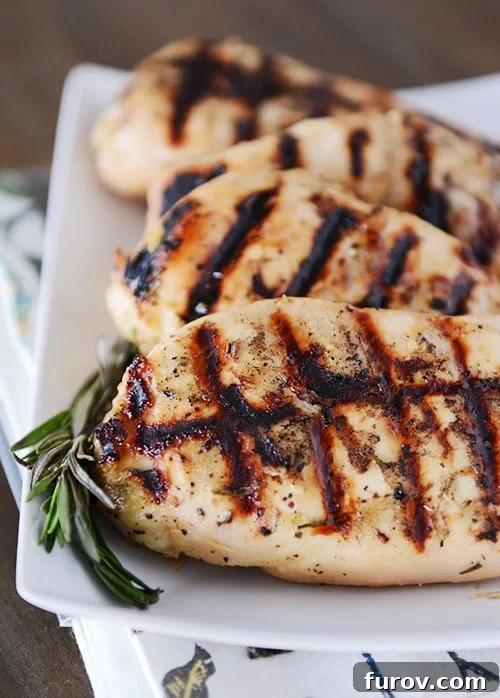 Four perfectly grilled honey mustard rosemary chicken breasts, golden-brown and juicy, arranged on a pristine white platter with a fresh sprig of rosemary and a lemon wedge for garnish.