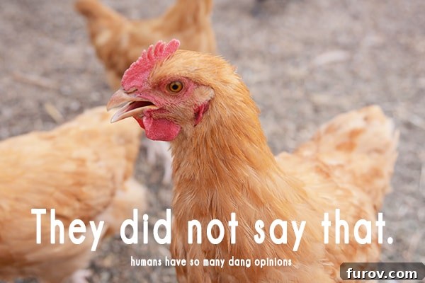 A beautiful, light brown chicken with striking, vibrant plumage, standing gracefully in its natural environment.