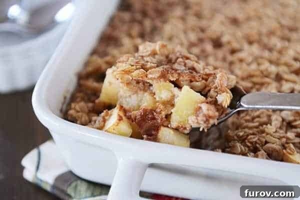 Old-Fashioned Apple Cinnamon Baked Oats 3 A spoon taking a bite full of oatmeal with chunks of apple, out of a white dish.