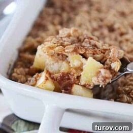 Amish-Style Apple and Cinnamon Baked Oatmeal