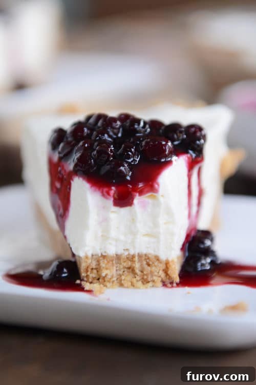 Ultimate No-Bake Cheesecake 10 A slice of graham cracker crust no-bake cheesecake, with one bite taken out and blueberry sauce on top.