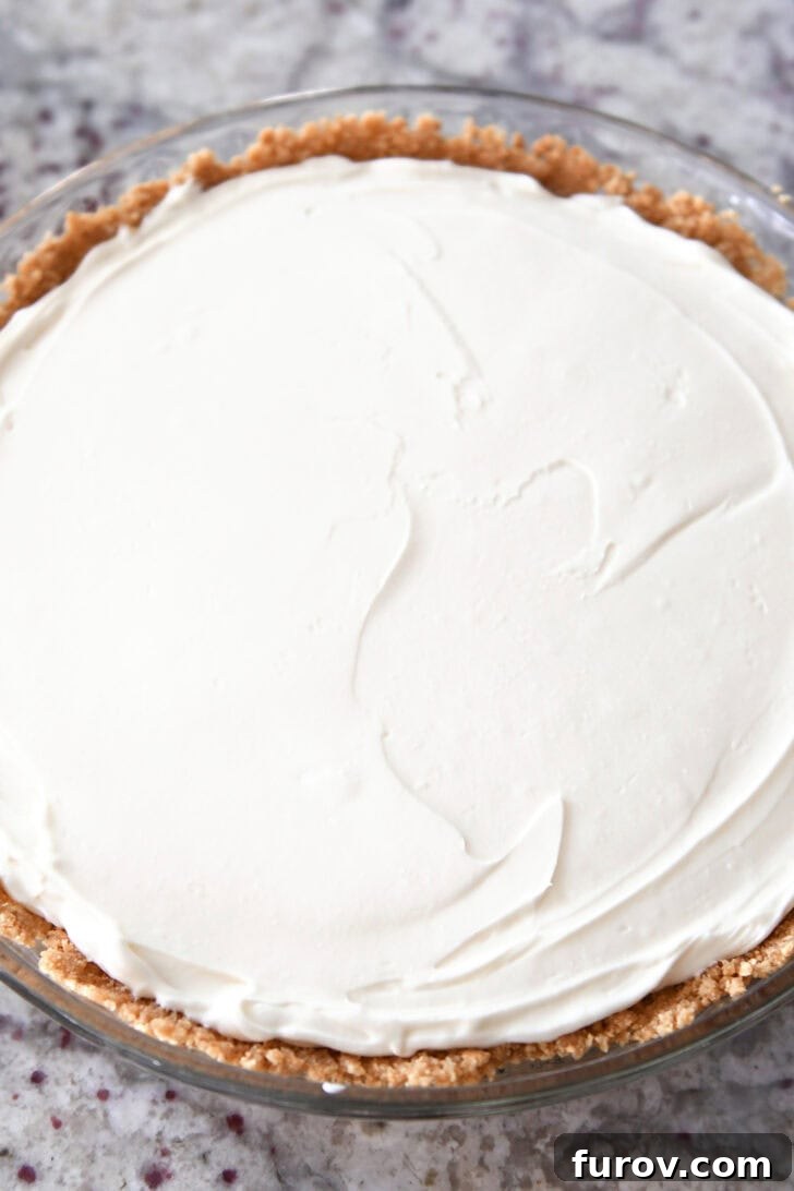 Ultimate No-Bake Cheesecake 6 Top down view of a cheesecake with a graham cracker crust in a glass pie dish.