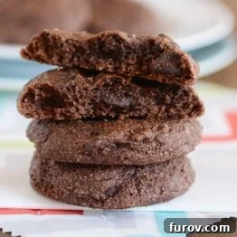 Double Chocolate Greek Yogurt Cookies