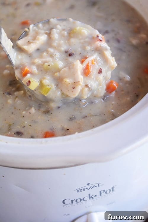 Slow Cooker Velvety Chicken and Wild Rice Soup 2 A ladle taking a big scoop of creamy chicken soup out of a crockpot, highlighting its rich texture and wholesome ingredients.