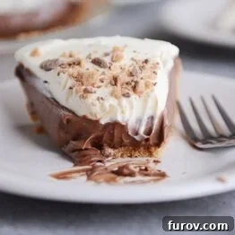 Delicious chocolate cream pie with graham cracker crust