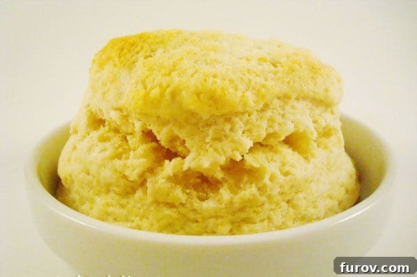 Velvet Cream Biscuits 3 A freshly baked, golden-brown cream biscuit resting in a simple white bowl, ready to be served.
