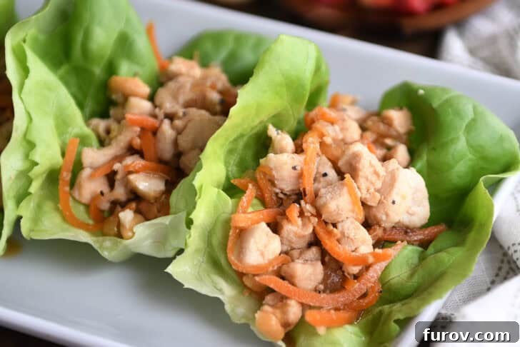 Top down view of a chicken and carrot lettuce wrap on a white platter.