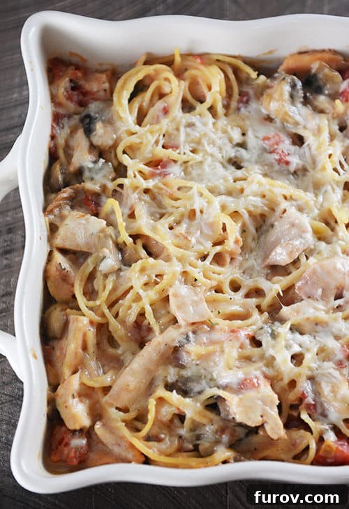 Golden Garlic Fontina Spaghetti Bake 2 Top view of a white casserole dish full of cheesy spaghetti with chicken and mushrooms, garnished with fresh parsley.