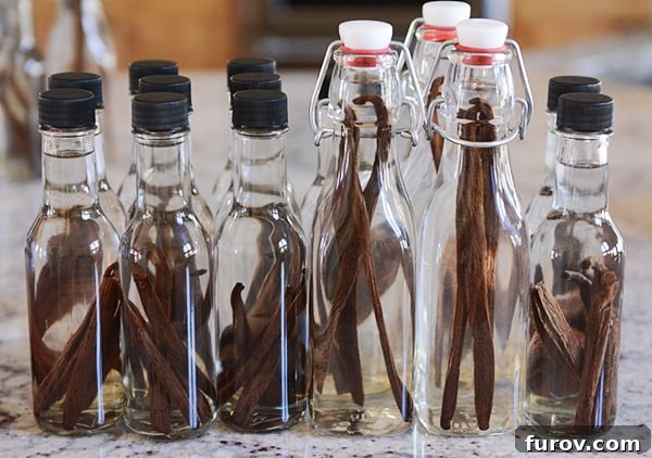 A bunch of small glass bottles filled with vanilla beans and vodka