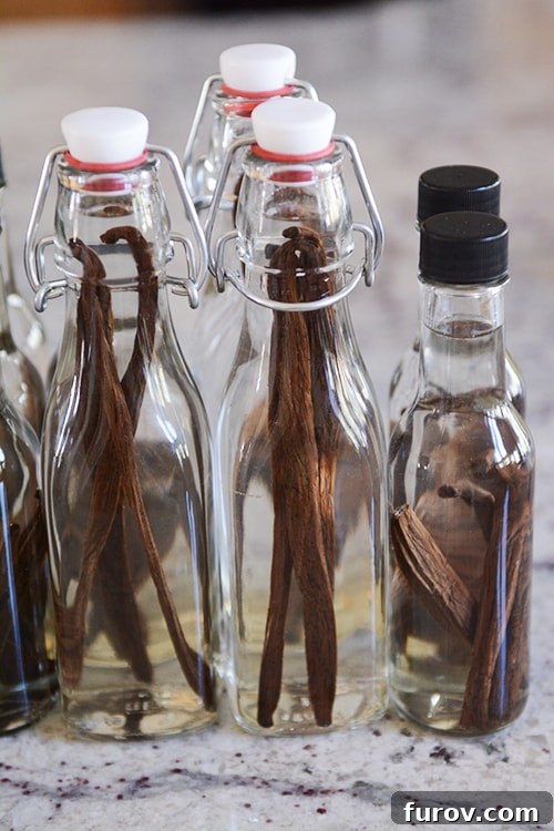 Glass jars filled with alcohol and vanilla beans.
