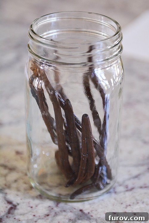 A mason jar full of vanilla beans.