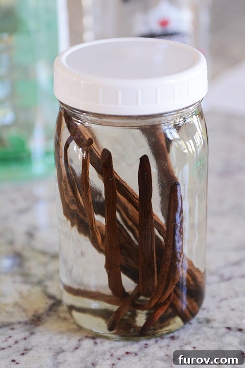 A mason jar full of alcohol and vanilla beans.