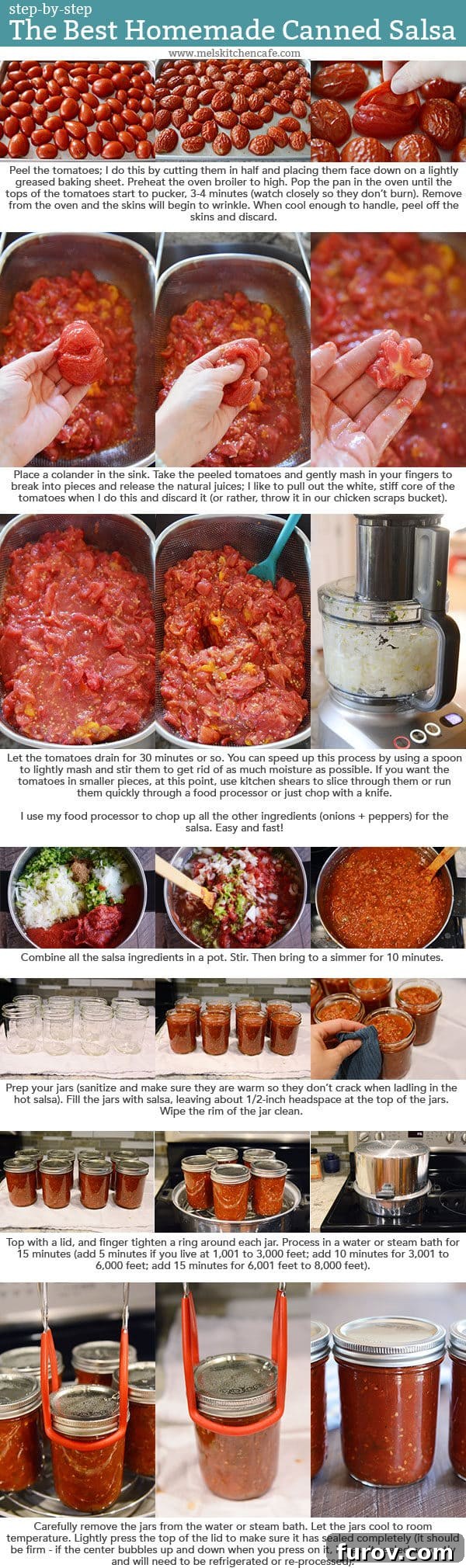 Perfectly Crafted Homemade Salsa 6 A visual step-by-step guide illustrating the process of making and canning homemade salsa, with clear images and text instructions for each stage.