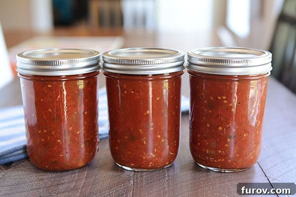 Perfectly Crafted Homemade Salsa 3 Three glass jars of homemade salsa lined up neatly on a rustic wooden table, showcasing the rich color and inviting texture of the preserved condiment.