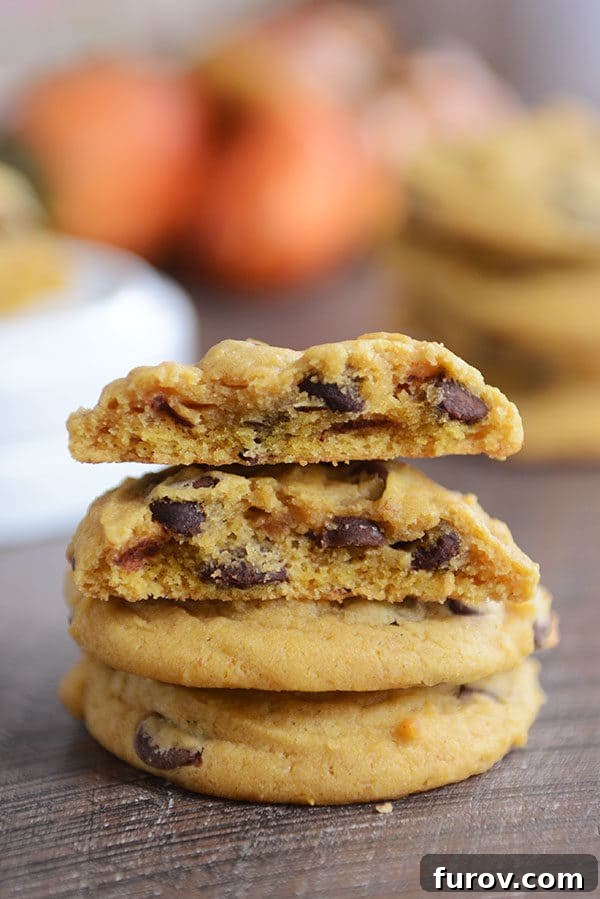 A stack of pumpkin chocolate chip cookies with the top cookie split in half, revealing its moist, chewy interior and melty chocolate chips.