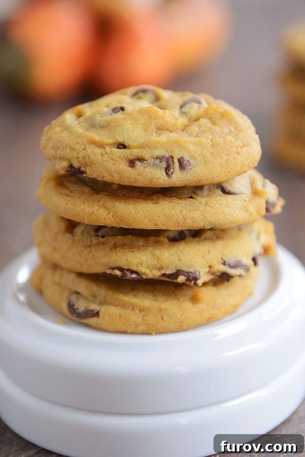 A stack of chocolate pumpkin cookies on top of a turned over white ramekin, with more cookies in the background, ready to be devoured.