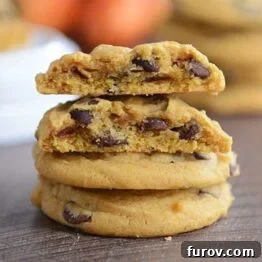 Delicious Chocolate Chip Pumpkin Cookies