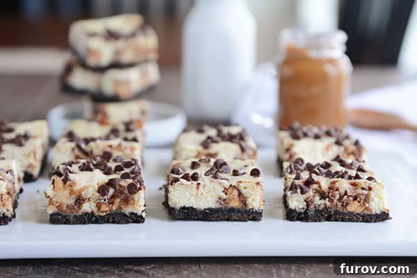 Chocolate chip sprinkled cheesecake bars with a dark, crumbly Oreo crust, artfully arranged on a pristine white platter, showcasing their inviting texture.