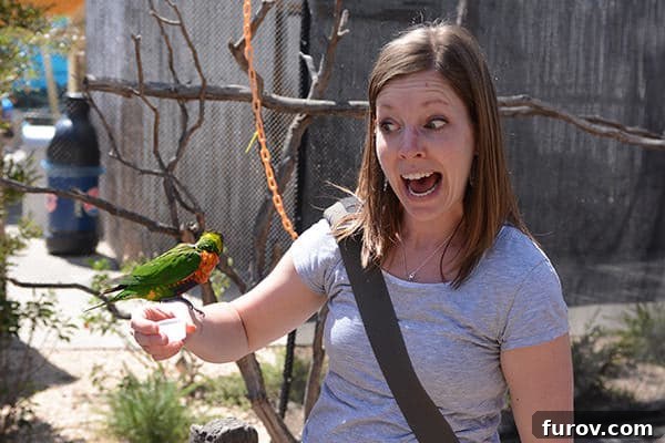 Essential Suncare Updates for Skin Cancer Prevention 4 A woman holding a green parrot on her arm.
