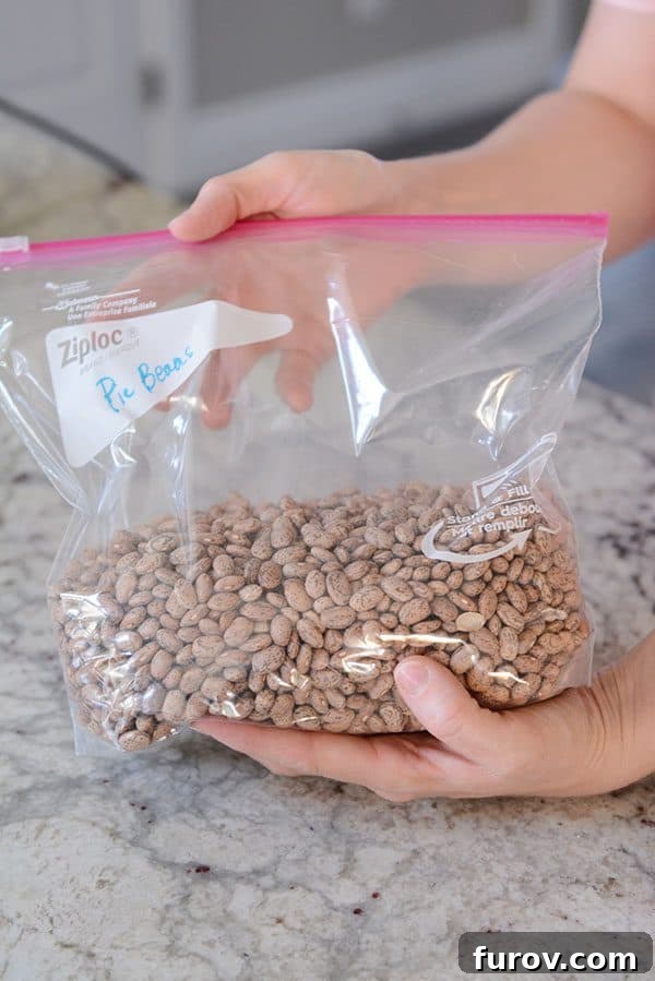 A gallon size Ziploc bag half full of dry pinto beans. 