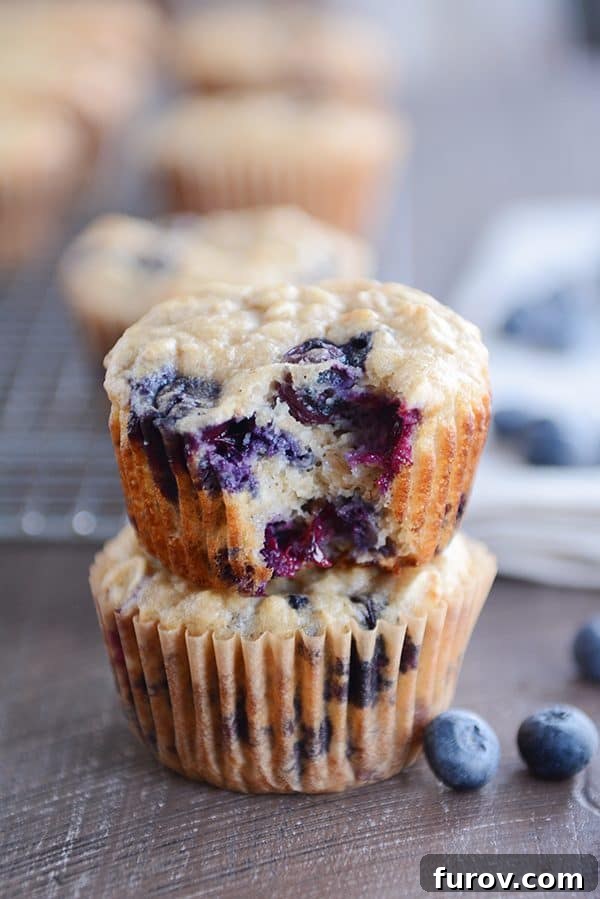 Two fluffy healthy yogurt oat blueberry muffins stacked on top of each other, showcasing their wholesome texture.