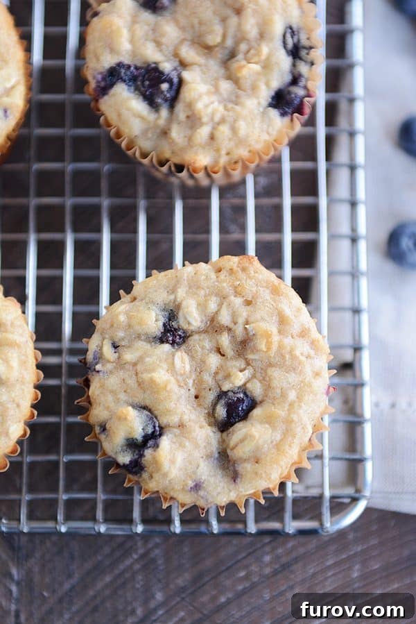 A top-down view of freshly baked healthy yogurt oat blueberry muffins cooling on a wire rack.