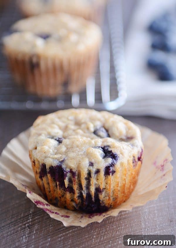 An unwrapped healthy yogurt oat blueberry muffin sitting on its paper liner, showing its delightful texture.