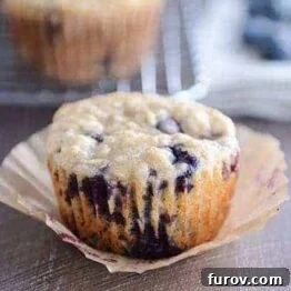Healthy Yogurt Oat Muffins {with Blueberries or Chocolate Chips!}