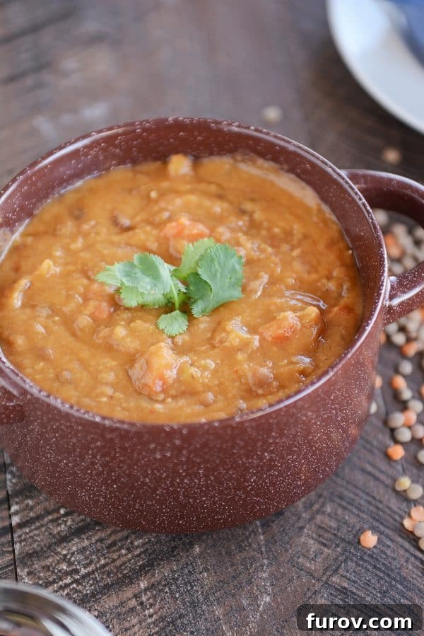 A vibrant red pot brimming with thick and creamy lentil soup, garnished with fresh herbs.