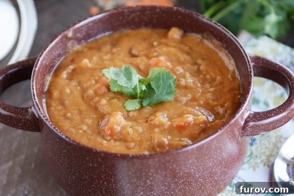 A close-up shot of a pot filled with rich, creamy lentil soup, ready to be served.