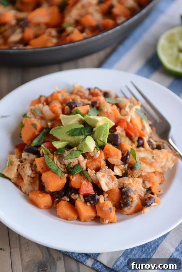 A white plate showcasing a serving of Cheesy Mexican Sweet Potato and Chicken Skillet meal, garnished with fresh cilantro and avocado.
