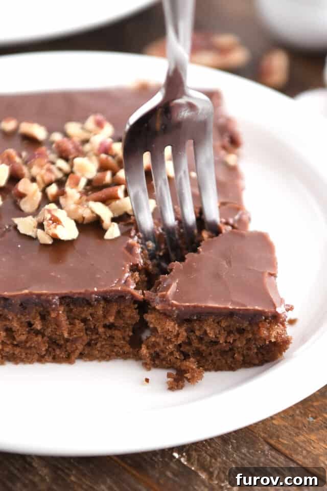 Fork taking corner piece from serving of frosted chocolate cake on white plate. A perfect slice of rich, moist Texas Sheet Cake, ready to be enjoyed.