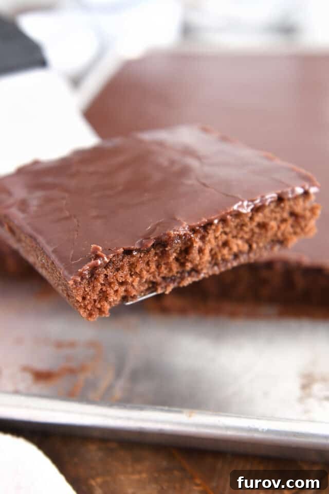 Square of Texas sheet cake on spatula. A perfect square of chocolate sheet cake, glistening with frosting.